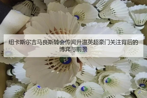 纽卡斯尔吉马良斯转会传闻升温英超豪门关注背后的博弈与前景